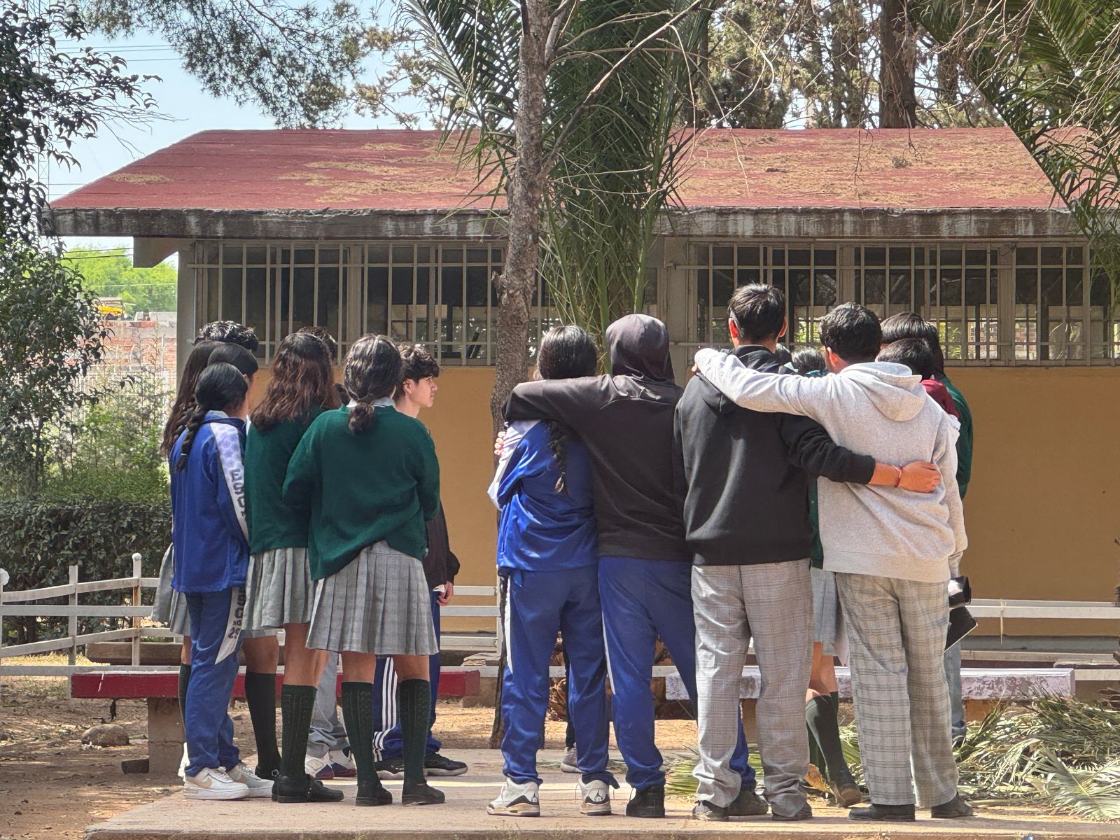 Proyecto Domus Jóvenes : Parte 3